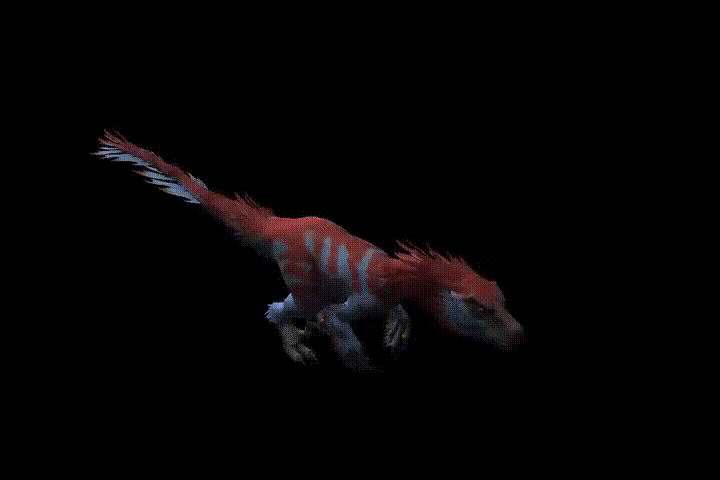Raptor Chick Trick - Play Dead.gif