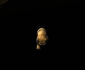 Owlbear Trick - Roll Over.gif
