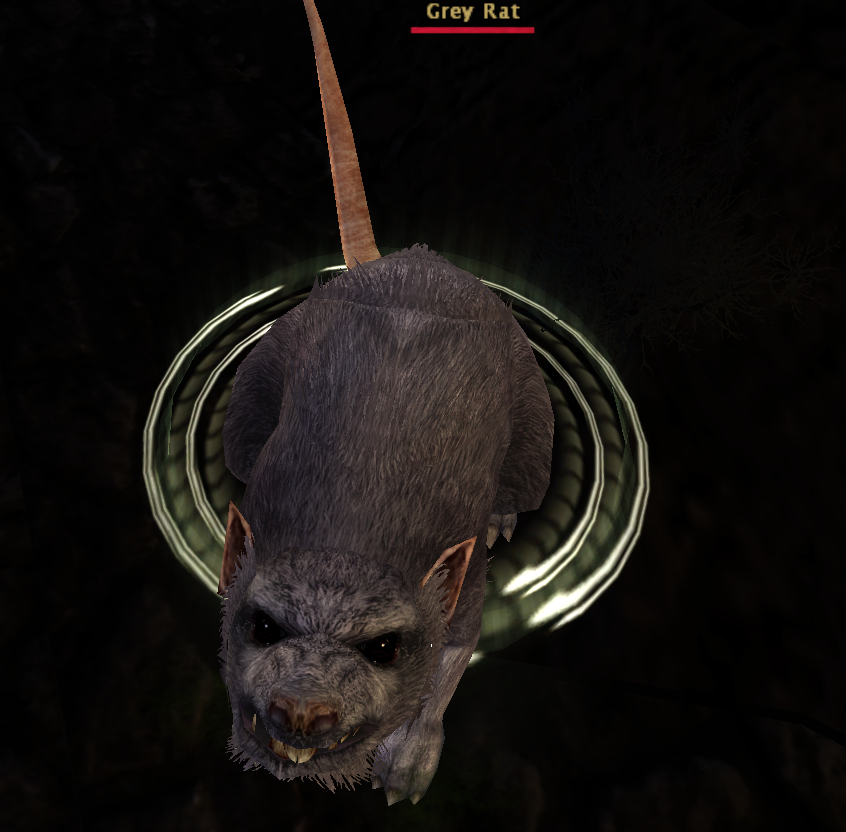 Grey Rat.png