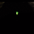 Thumbnail for version as of 00:12, 22 July 2023