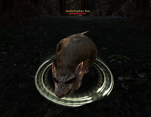 Underharbor Rat.png