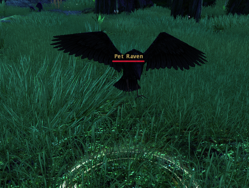 File:Pet Raven.png