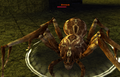Thumbnail for version as of 01:07, 29 April 2020