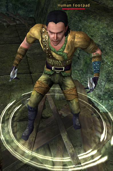 File:Human Footpad.png