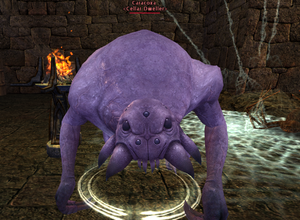Caracoxa.png