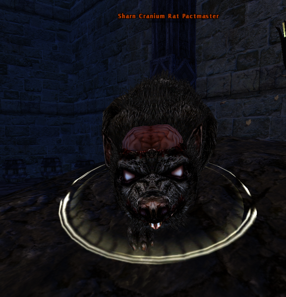 File:Sharn Cranium Rat Pactmaster.png